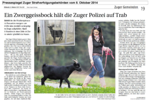 Zorro & Stripes Zeitungsbericht 3